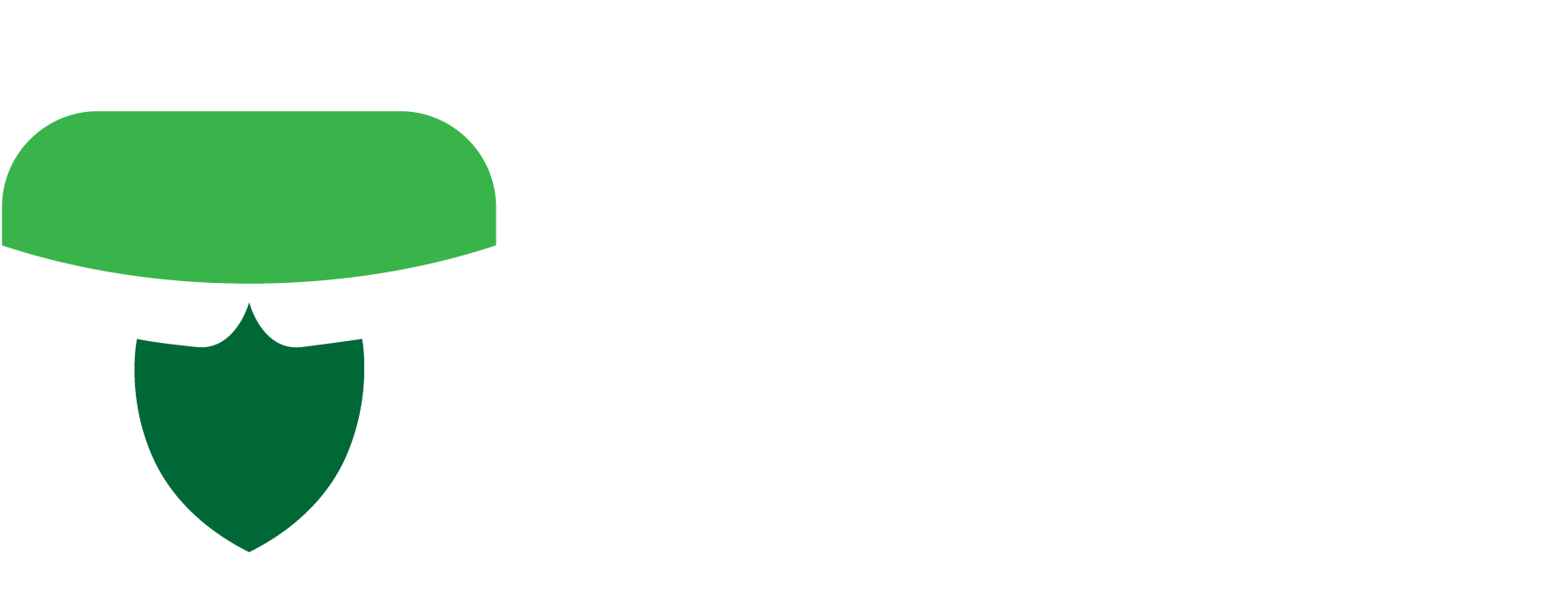 seu negocio protegido
